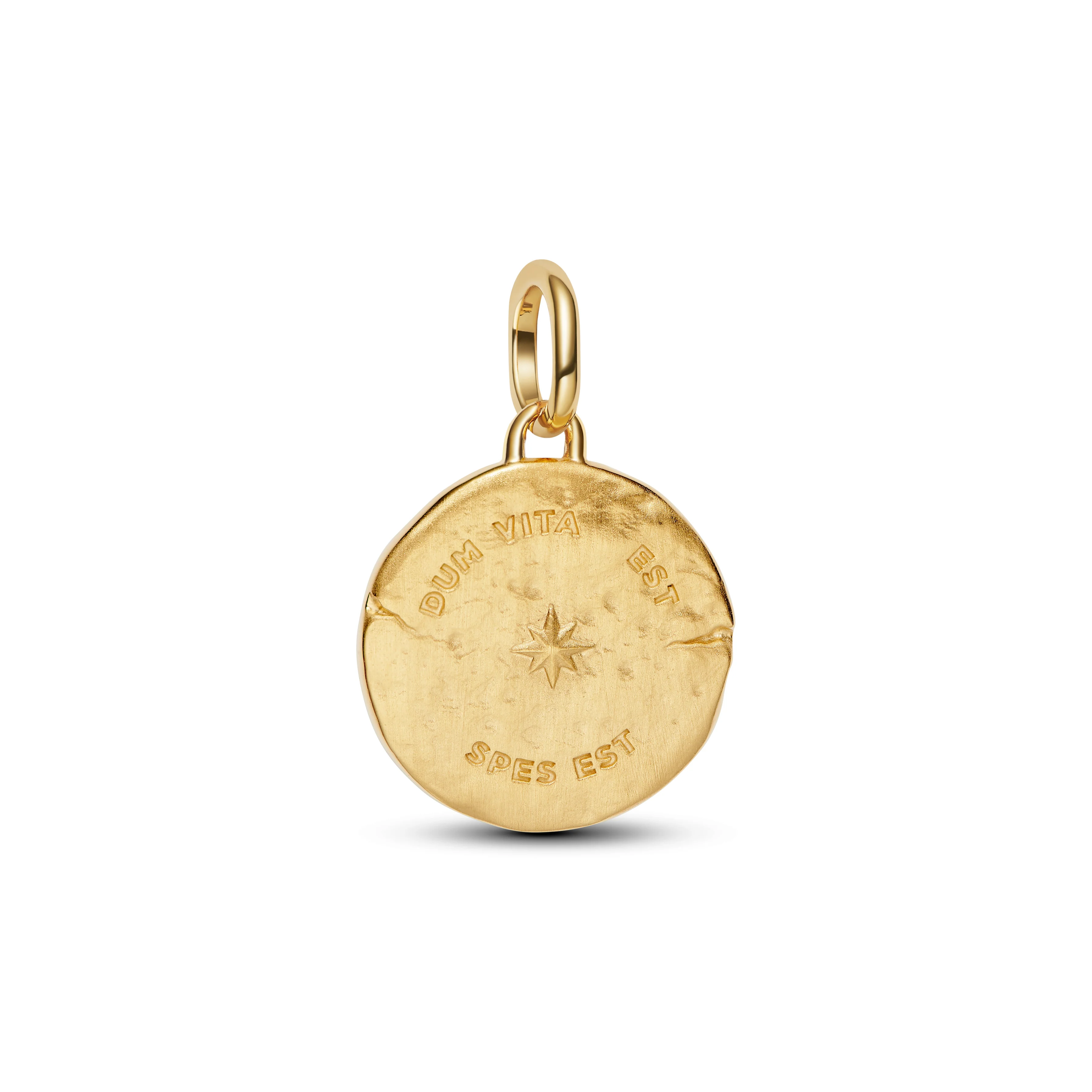 Swallow 14K Gold-Plated Medallion With Clear Cubic Zirconia - Image 3